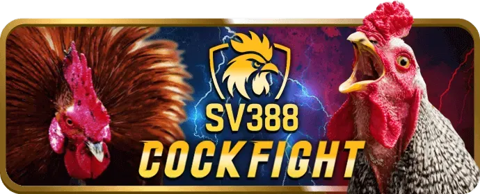 Hướng dẫn rút tiền từ betvip game
