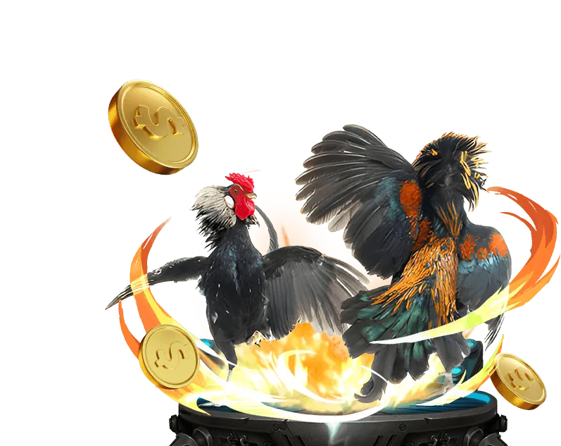 Chính sách cookie của betvip game